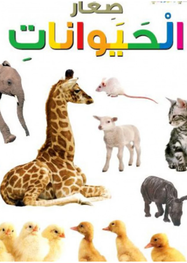  صغار الحيوانات