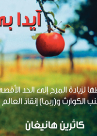 آيدا بي - وخطط لزيادة المرح إلى الحد الأقصى وتجنب الكوارث وربما إنقاذ العالم